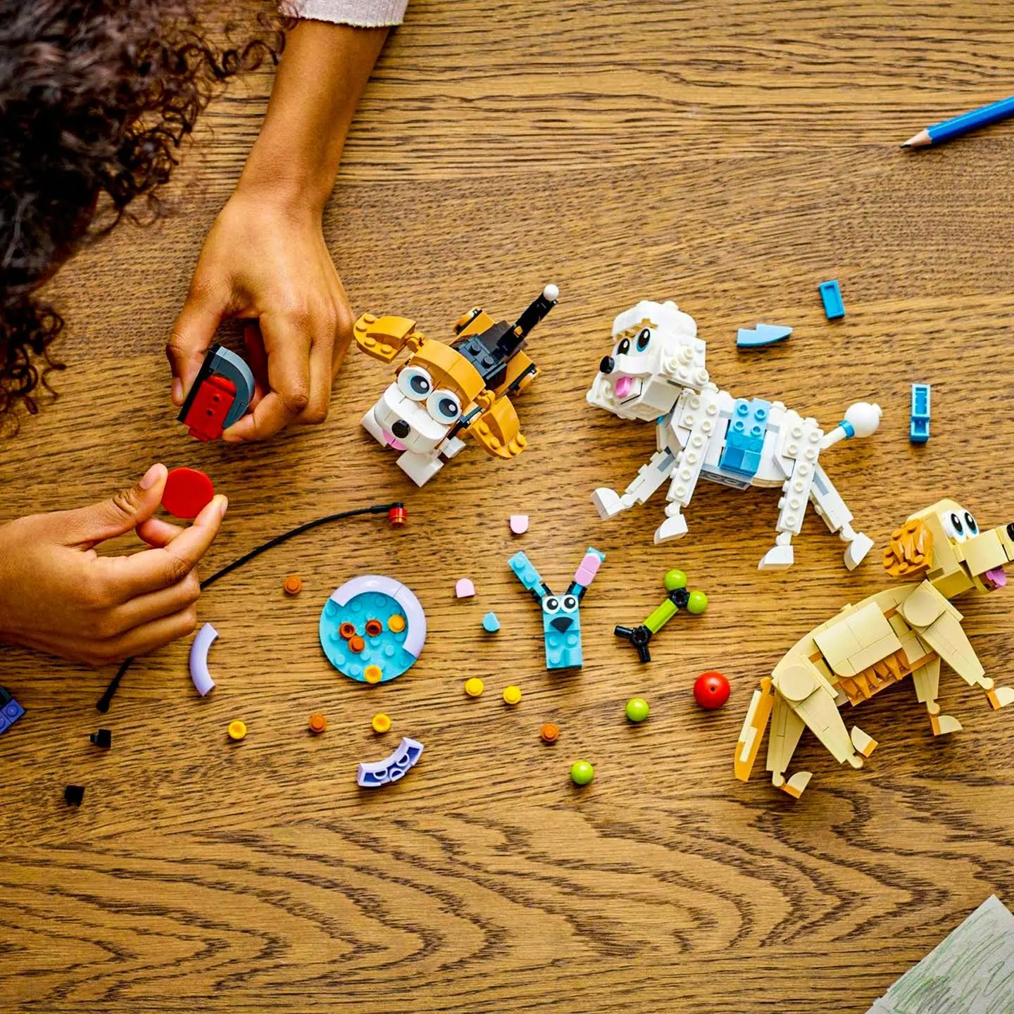 Klocki Lego Urocze Psy Dla Dziewczynki Zestaw XXL